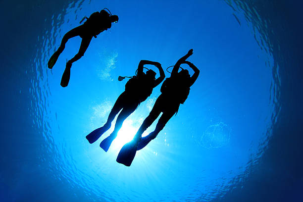OPEN WATER COURSE
