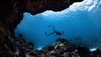 BASIC FREEDIVING