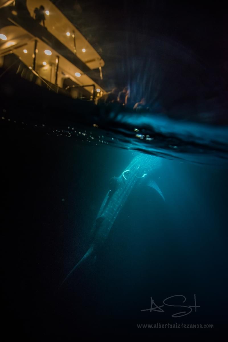 BLUE VOYAGER, MALDIVES