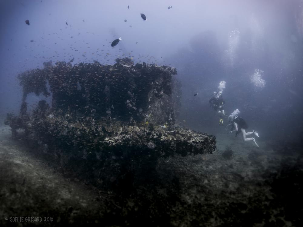 BLUE VOYAGER, MALDIVES
