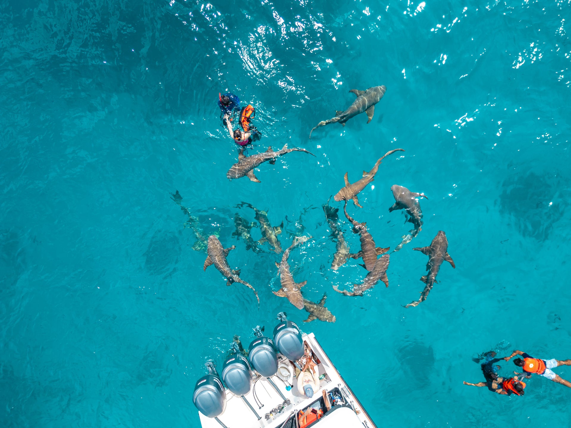 ODYSSEY, MALDIVES LEGEND