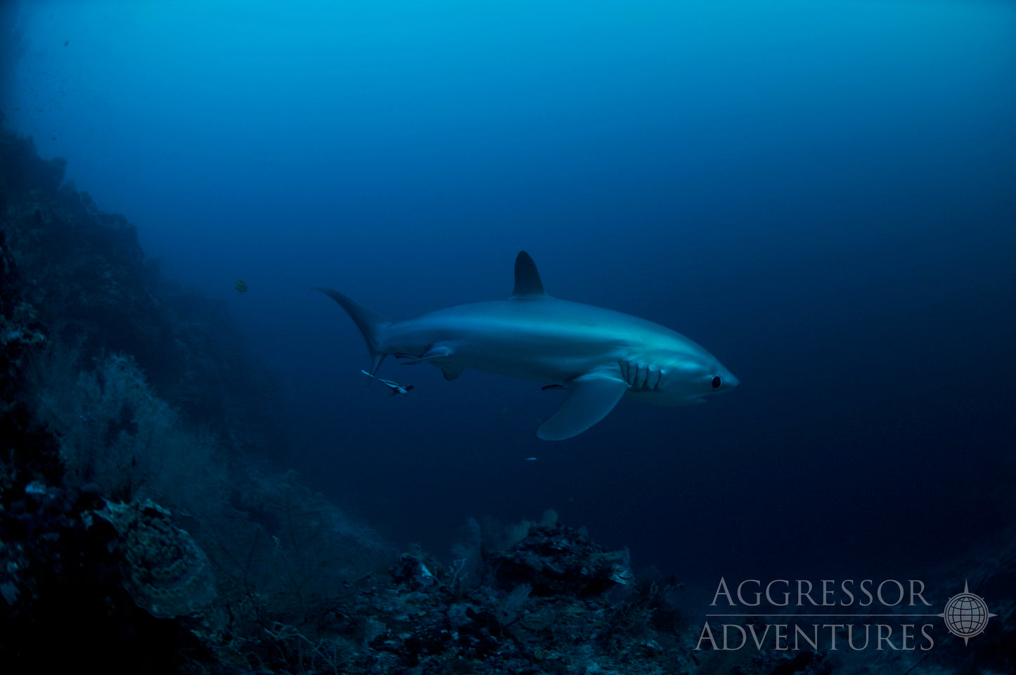 ADVANCE OPEN WATER COURSE