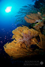 PHILIPPINES AGGRESSOR