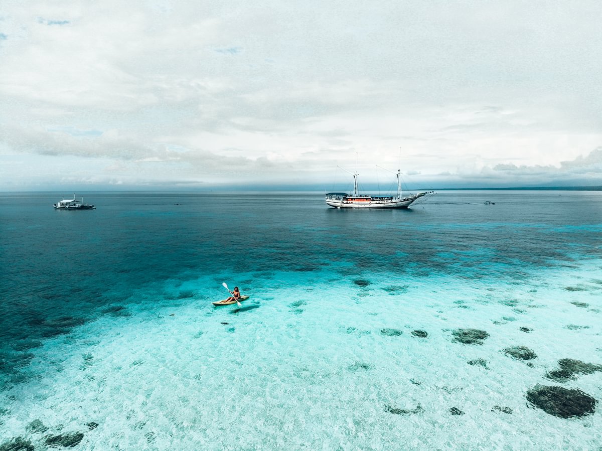 PHILIPPINE SIREN