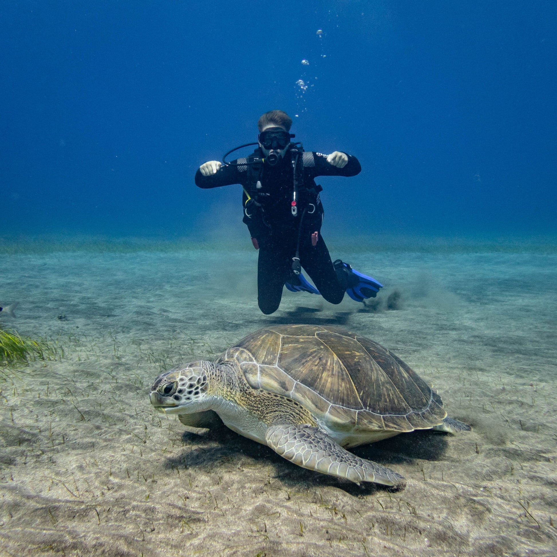 🌊  SCUBA DIVER - SSI