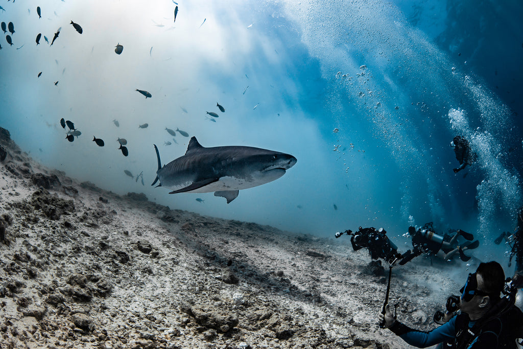 SCUBASPA MALDIVES