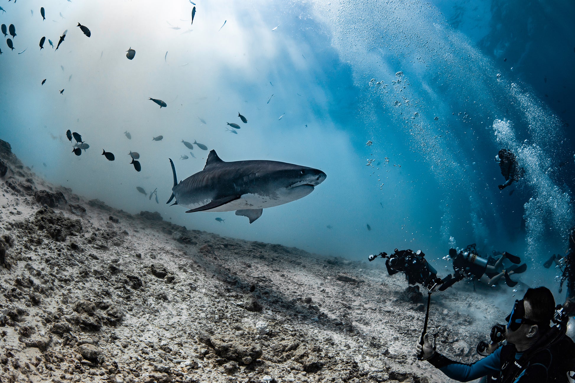 SCUBASPA MALDIVES