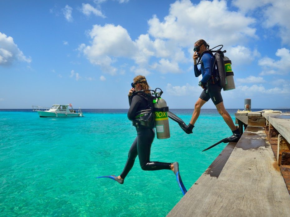 SHORE TRY DIVE
