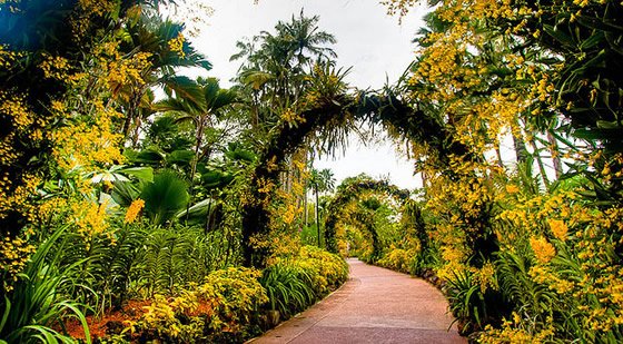 SINGAPORE- 4N5D @ 4/5* HOTEL