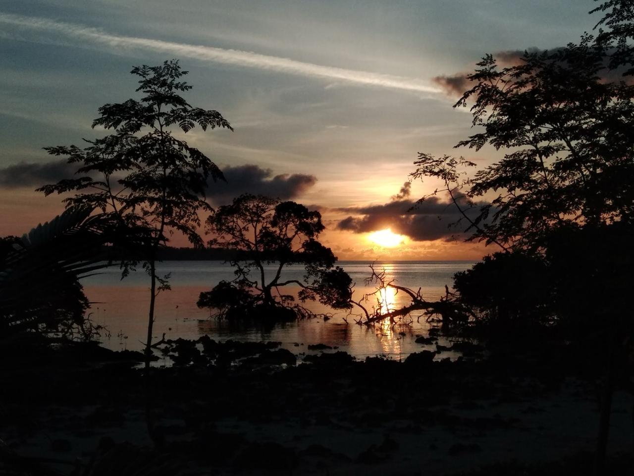 SUNRISE CRUISE